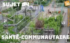 TEF preparation , Section B , ENTRAINEMENT DÉTAILLÉ, Sujet #4 : Santé-Communautaire (Jardins communautaires)