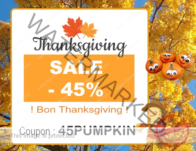 Promo thanksgiving2025