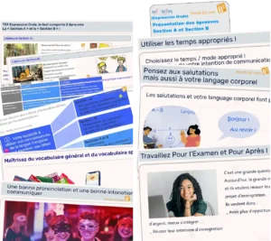 French-b2.com : Présentation du test TEF - TEFAQ Expression Orale, avec les prérequis ainsi que les critères d'évaluation.