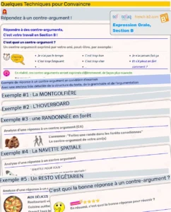 TEF - TEFAQ (Speaking) Part B. Develop several convincing techniques to also show your French